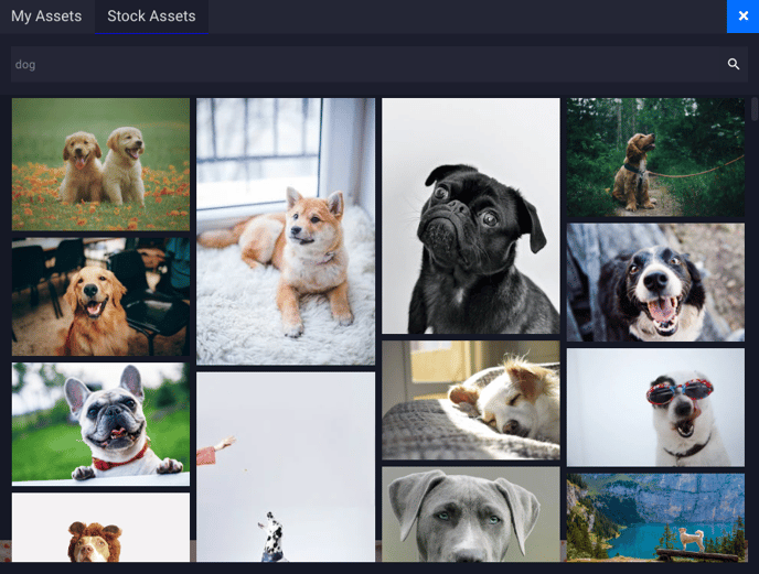 KB-Asset-Management-Stock-Images-tab-dogs-2